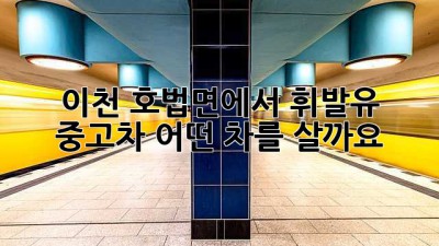 이천 호법면에서 휘발유 중고차, 어떤 차를 살까요?
